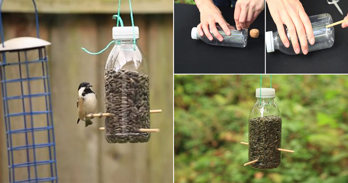 how to make bird feeders with plastic bottles