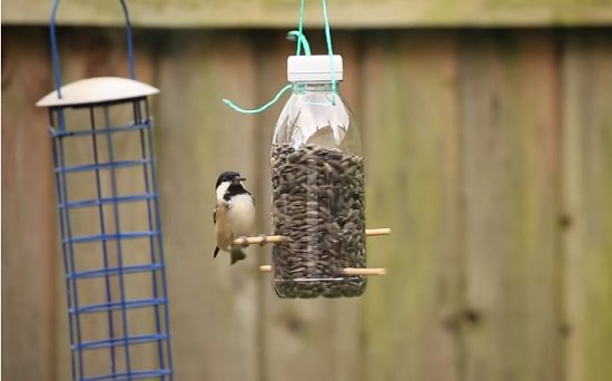 How To Make Plastic Bottle Bird Feeder Diy Bird Feeder Plastic